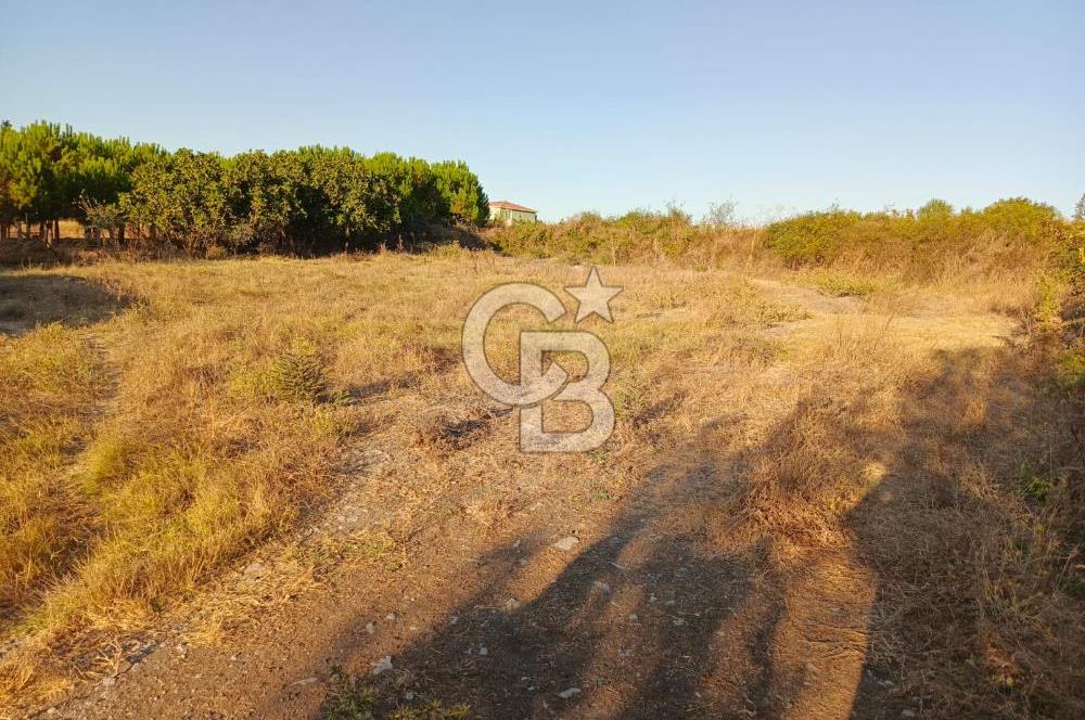 BALIKESİR / GÖNEN/BAYRAMİÇ KÖYÜ İÇİNDE SATILIK ARSA VE TESİS