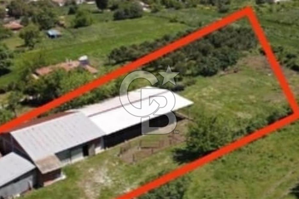 BALIKESİR / GÖNEN/BAYRAMİÇ KÖYÜ İÇİNDE SATILIK ARSA VE TESİS