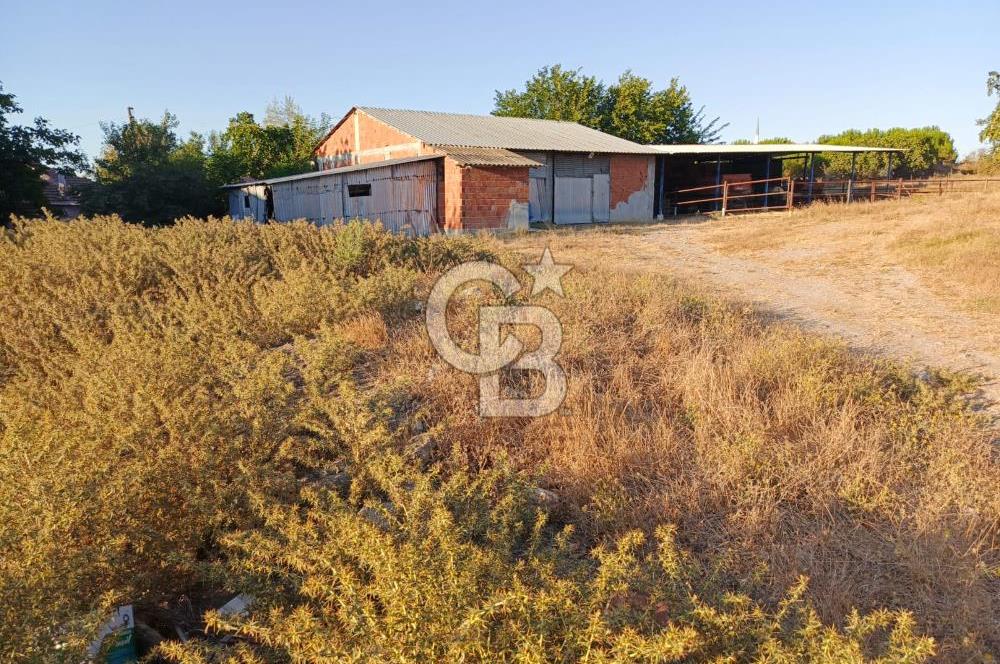 BALIKESİR / GÖNEN/BAYRAMİÇ KÖYÜ İÇİNDE SATILIK ARSA VE TESİS