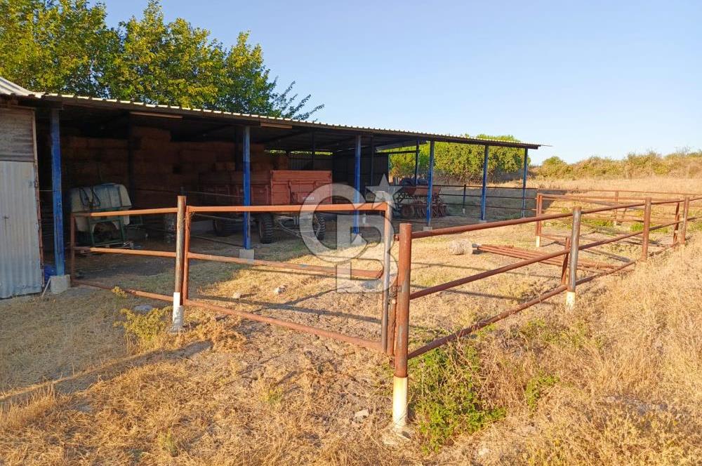 BALIKESİR / GÖNEN/BAYRAMİÇ KÖYÜ İÇİNDE SATILIK ARSA VE TESİS