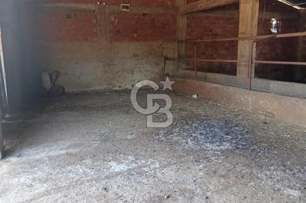 BALIKESİR / GÖNEN/BAYRAMİÇ KÖYÜ İÇİNDE SATILIK ARSA VE TESİS