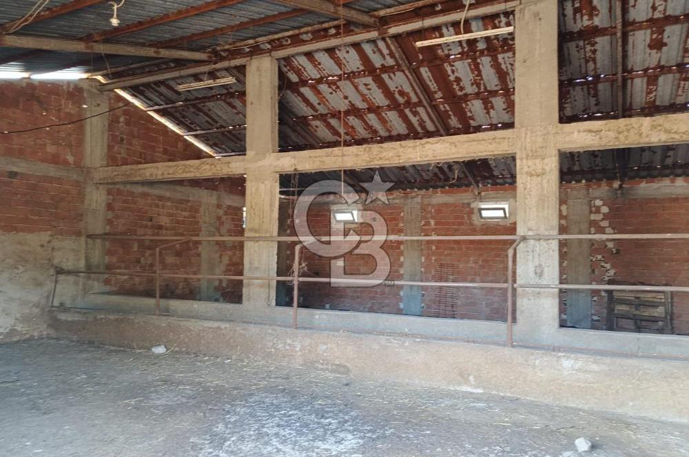 BALIKESİR / GÖNEN/BAYRAMİÇ KÖYÜ İÇİNDE SATILIK ARSA VE TESİS