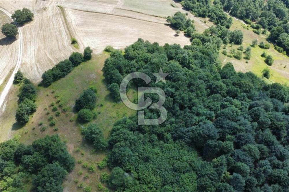 Koceli kandıra eğercilerde satılık tarla