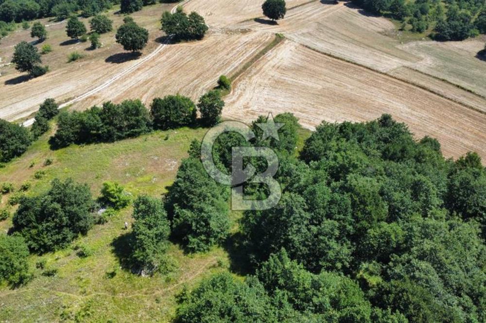 Koceli kandıra eğercilerde satılık tarla