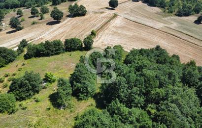 Koceli kandıra eğercilerde satılık tarla