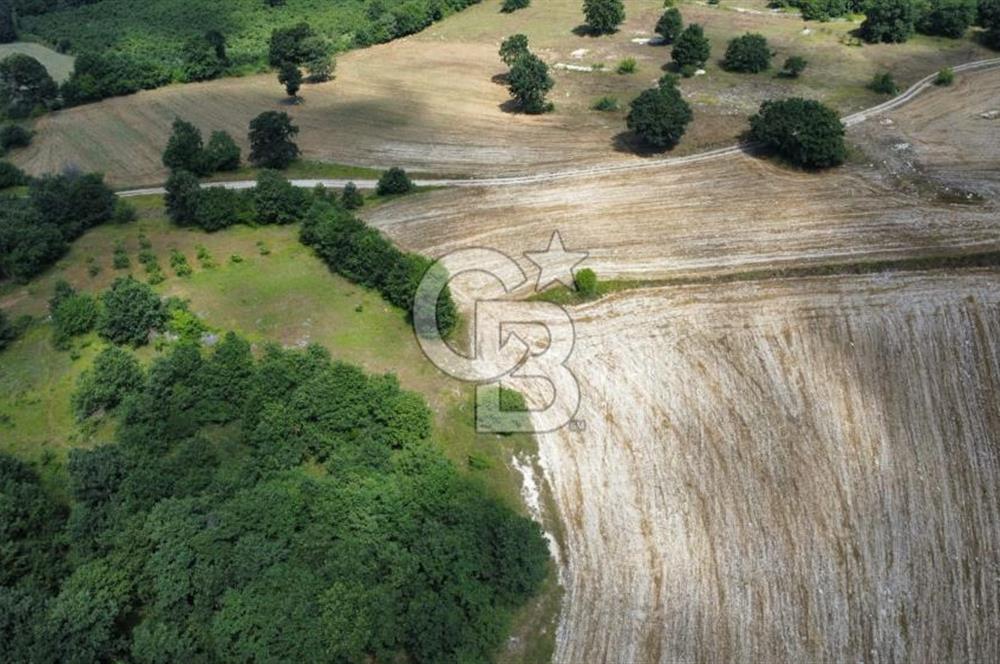Koceli kandıra eğercilerde satılık tarla