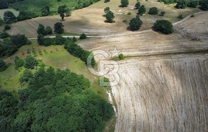 Koceli kandıra eğercilerde satılık tarla