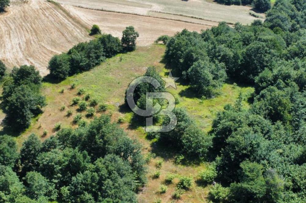 Koceli kandıra eğercilerde satılık tarla