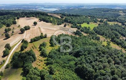 Koceli kandıra eğercilerde satılık tarla