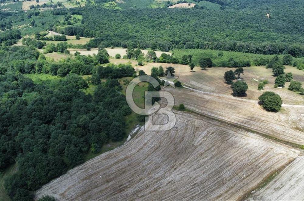 Koceli kandıra eğercilerde satılık tarla