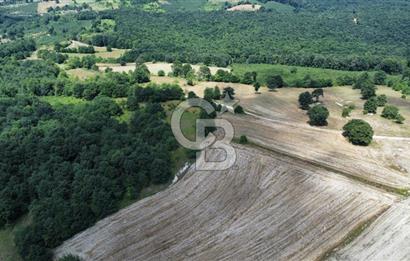 Koceli kandıra eğercilerde satılık tarla