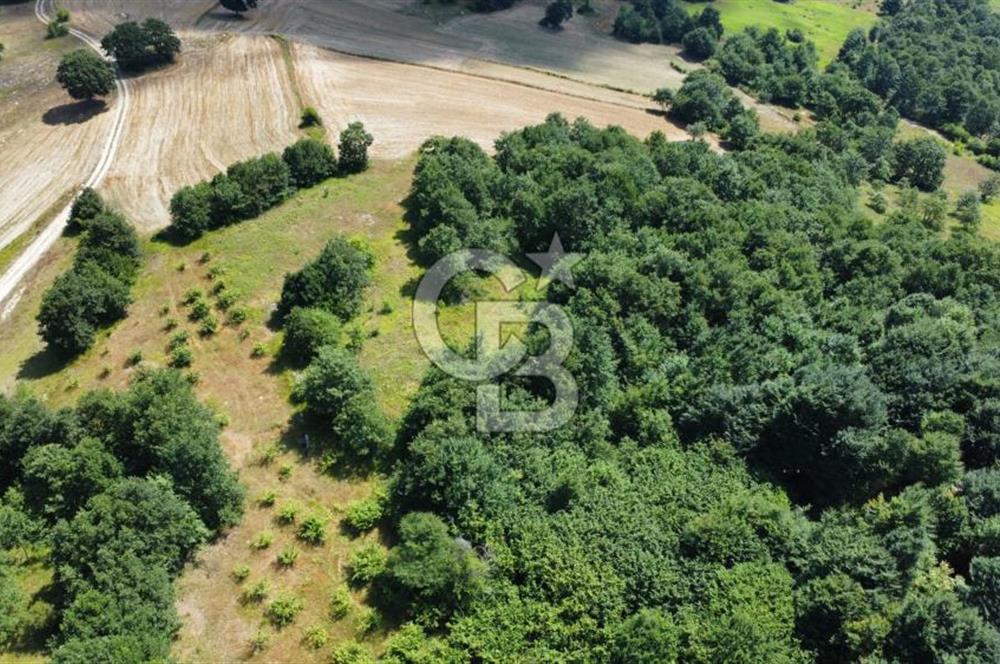 Koceli kandıra eğercilerde satılık tarla