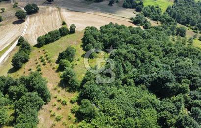 Koceli kandıra eğercilerde satılık tarla