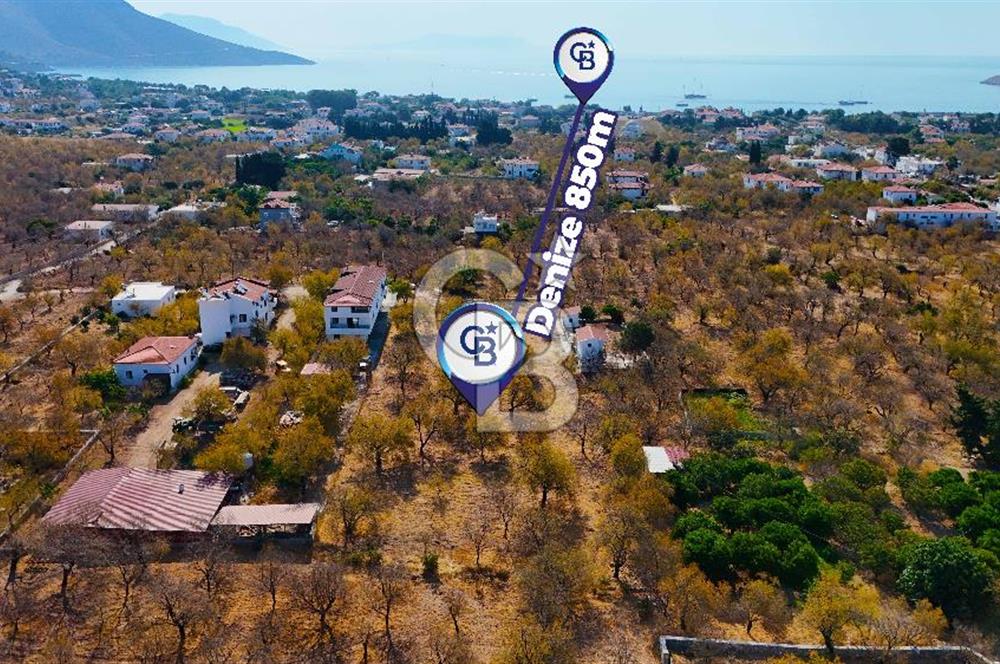 Datça Palamutbükü'nde Turizm İmar Planı İçinde 3.733m² Arsa