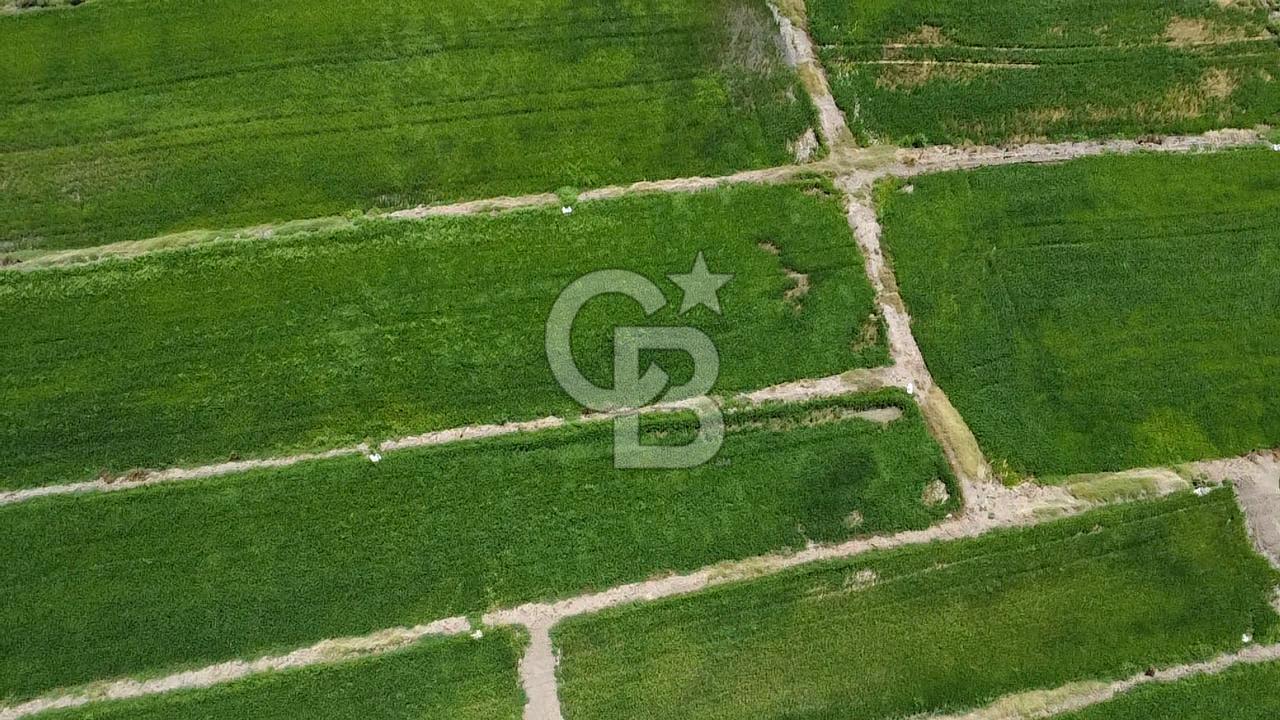 BİGA GÜVEMALAN SATILIK TARLA