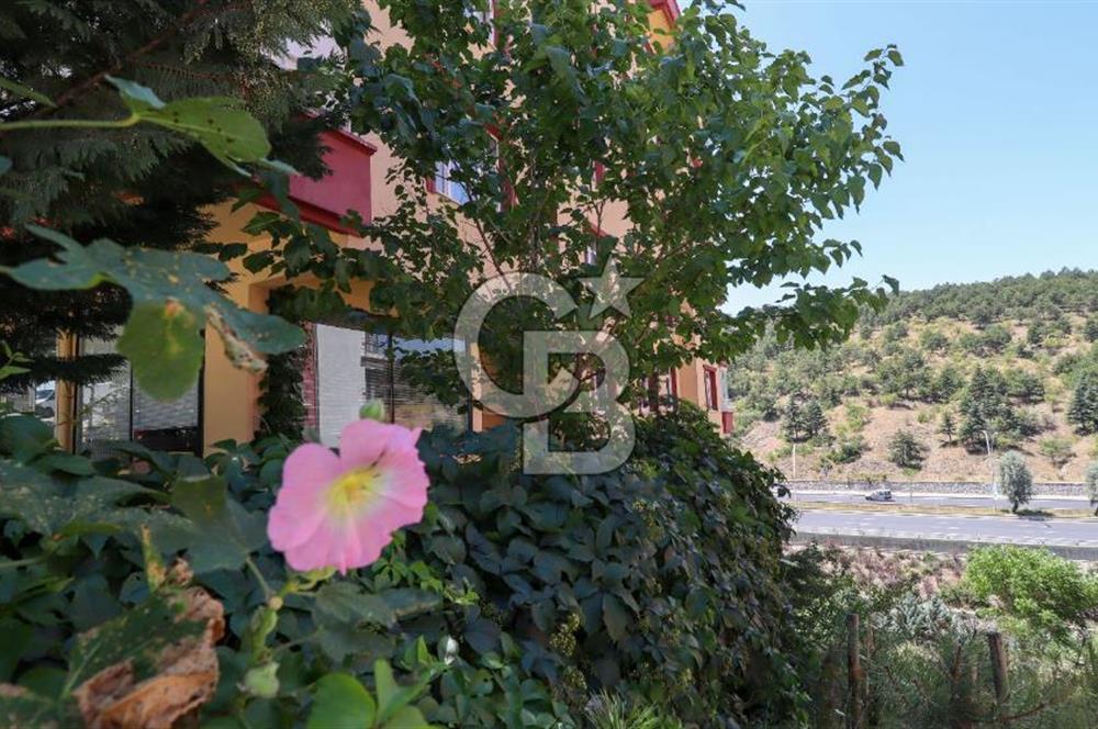DİKMEN AKPINAR MAH. 5+1 DUBLEKS SATILIK DAİRE **KÖK TAPU**