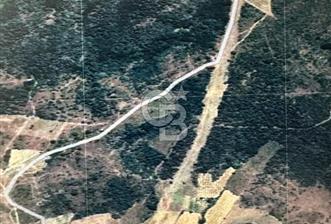 Bursa Kestel Kayacık Satılık Tarla
