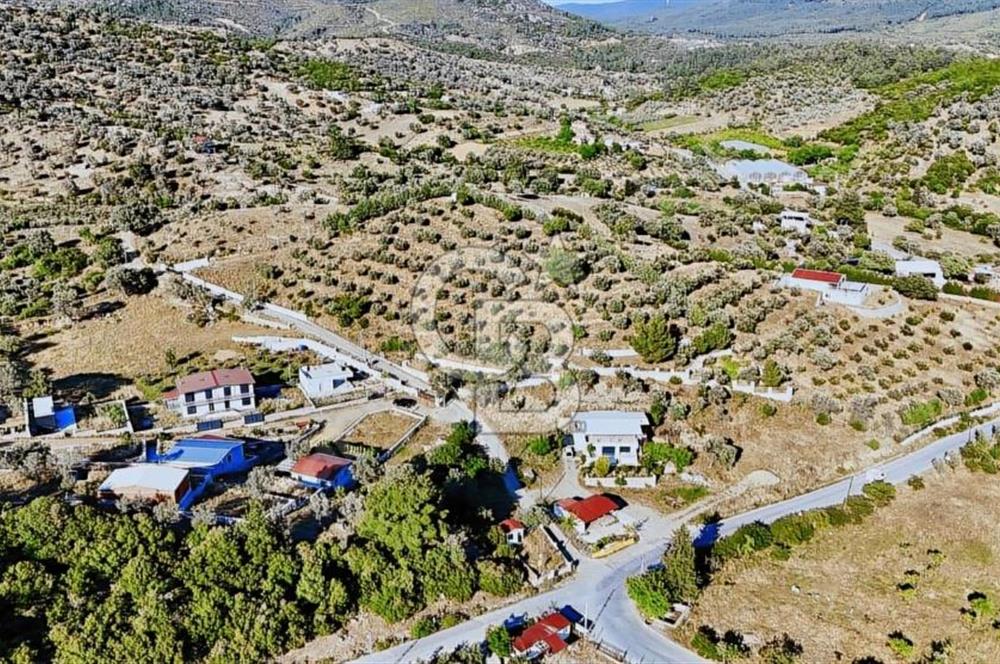 SEFERİHİSAR ORHANLI'DA KÖY İÇİ İMARLI SATILIK TARLALAR