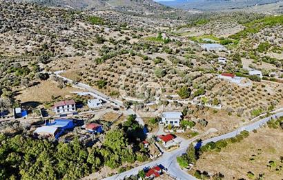 SEFERİHİSAR ORHANLI'DA KÖY İÇİ İMARLI SATILIK TARLALAR