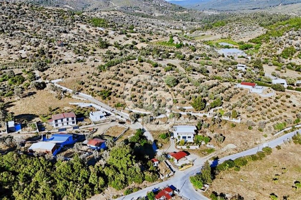 SEFERİHİSAR ORHANLI'DA KÖY İÇİ İMARLI SATILIK TARLALAR