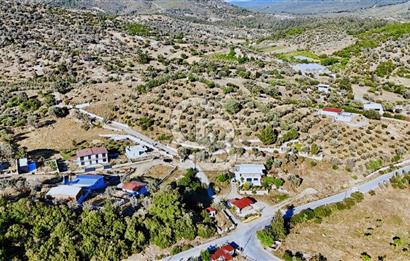 SEFERİHİSAR ORHANLI'DA KÖY İÇİ İMARLI SATILIK TARLALAR