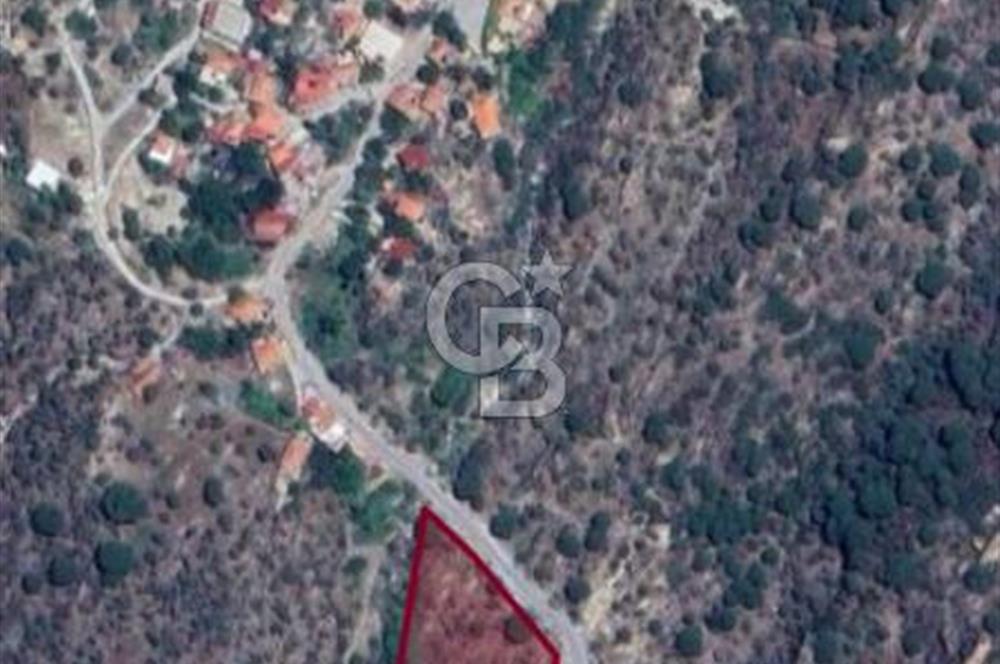 SARIKAYA MH. GÖKSEKİ  KÖYİÇİ SATILIK ZEYTİNLİK