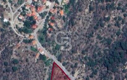 SARIKAYA MH. GÖKSEKİ  KÖYİÇİ SATILIK ZEYTİNLİK