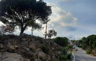 SARIKAYA MH. GÖKSEKİ  KÖYİÇİ SATILIK ZEYTİNLİK