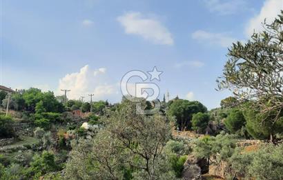 SARIKAYA MH. GÖKSEKİ  KÖYİÇİ SATILIK ZEYTİNLİK