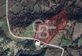 MANİSA AHMETLİ HACIKÖSELİ'DE 44.000M2 TARIM VE GES'E UYGUN ARAZİ
