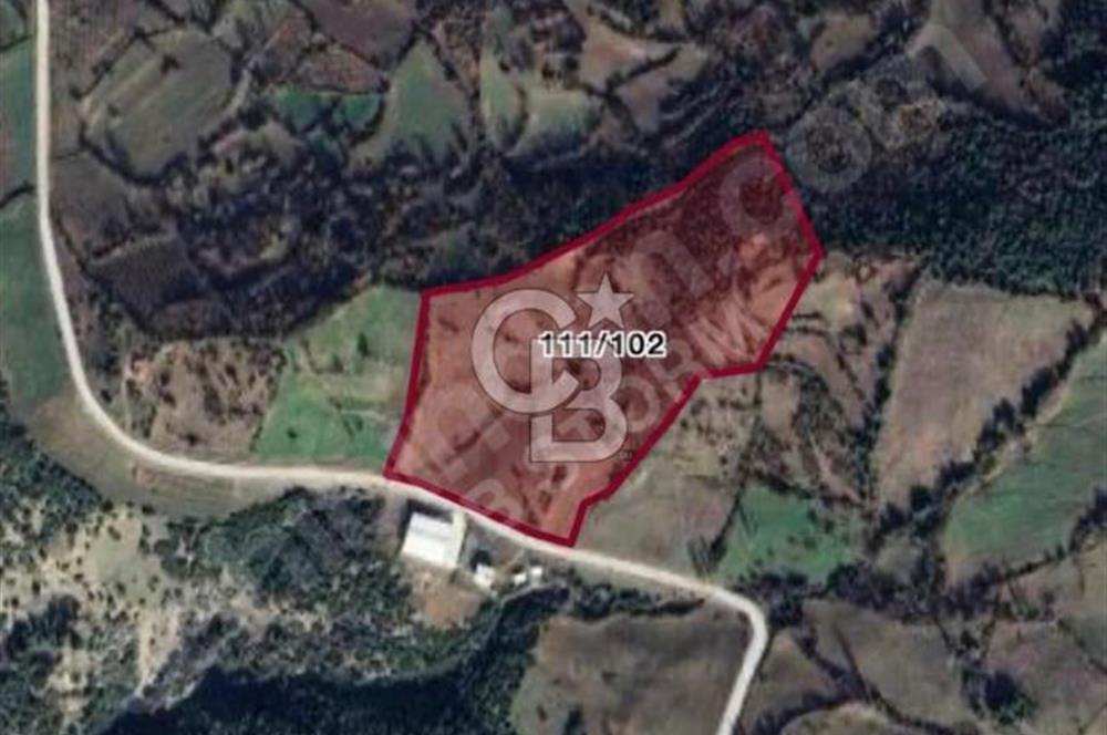 MANİSA AHMETLİ HACIKÖSELİ'DE 44.000M2 TARIM VE GES'E UYGUN ARAZİ