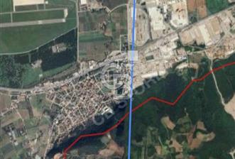 YALOVA ÇİFTLİKKÖY KABAKLIDA 29 DÖNÜM TARLA