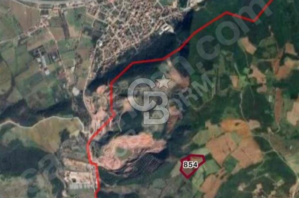 YALOVA ÇİFTLİKKÖY KABAKLIDA 29 DÖNÜM TARLA