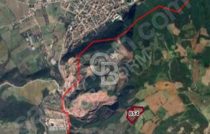 YALOVA ÇİFTLİKKÖY KABAKLIDA 29 DÖNÜM TARLA