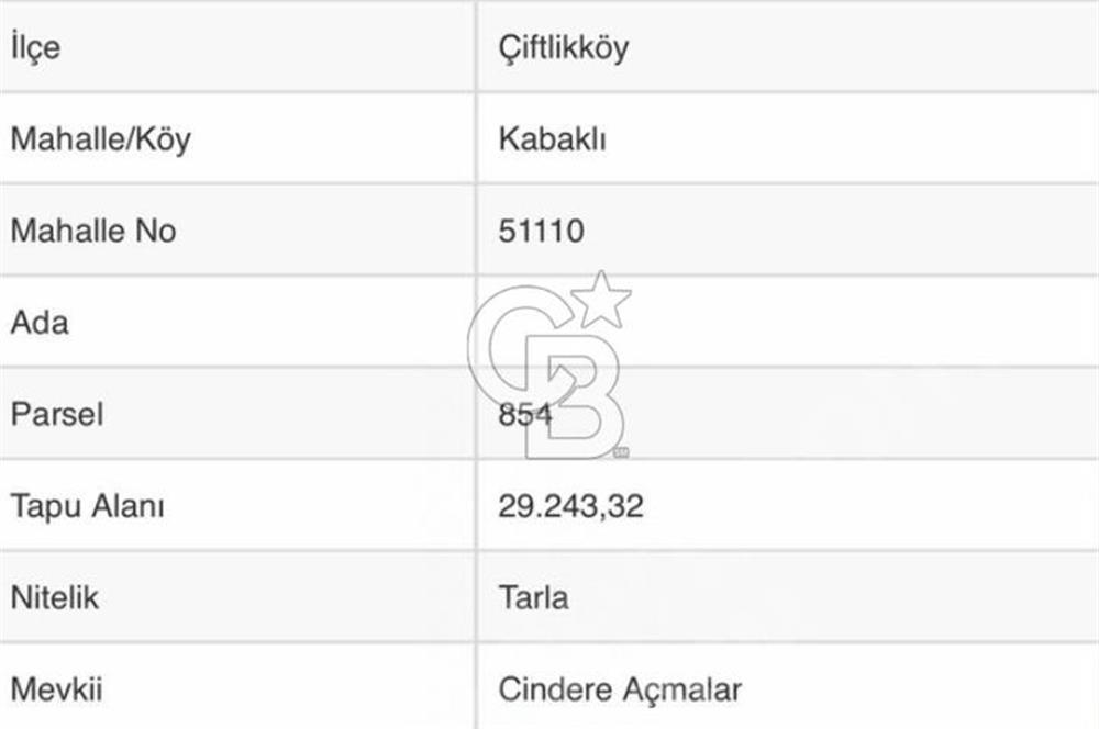 YALOVA ÇİFTLİKKÖY KABAKLIDA 29 DÖNÜM TARLA