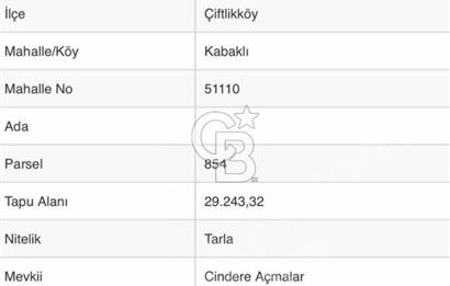 YALOVA ÇİFTLİKKÖY KABAKLIDA 29 DÖNÜM TARLA