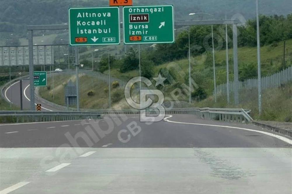 YALOVA ÇİFTLİKKÖY KABAKLIDA 29 DÖNÜM TARLA