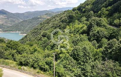 Cb Envoy'dan Yuvacık Yakacık Mah. Baraj Manzaralı 4.410 m2 Tarla