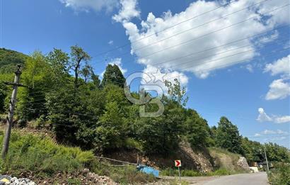 Cb Envoy'dan Yuvacık Yakacık Mah. Baraj Manzaralı 4.410 m2 Tarla