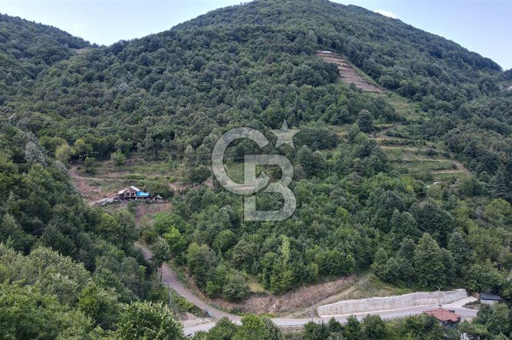 Cb Envoy'dan Yuvacık Yakacık Mah. Baraj Manzaralı 4.410 m2 Tarla