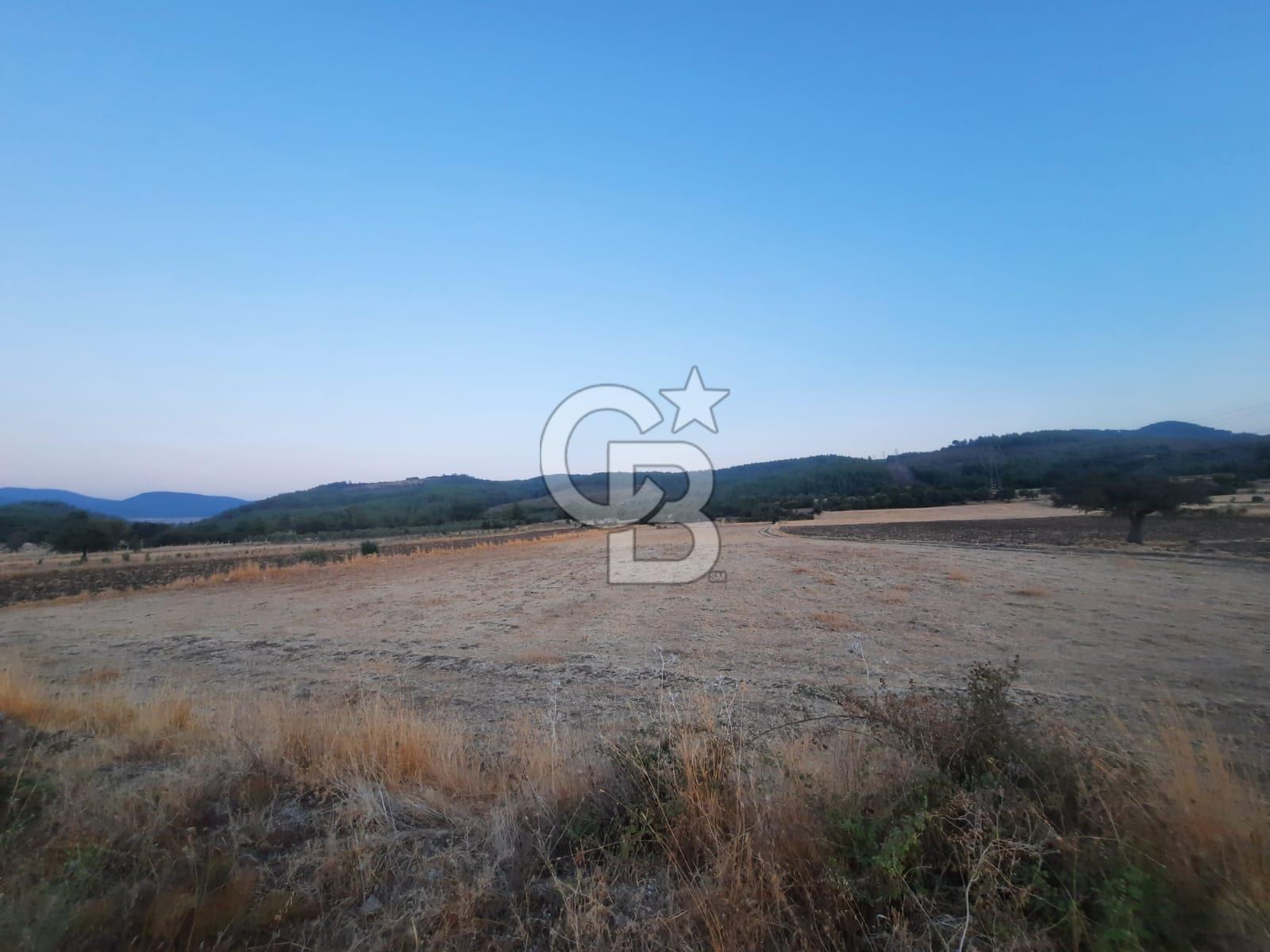 MİLAS KARACAHİSAR KÖYÜNDE YOLA CEPHELİ ÇİFTLİK ARAZİSİ