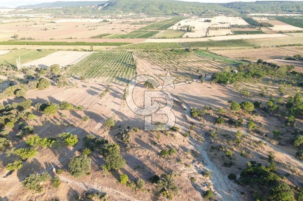 ECEABAT KABATEPEDE KADASTRAL YOLU OLAN 30 DÖNÜM TARLA