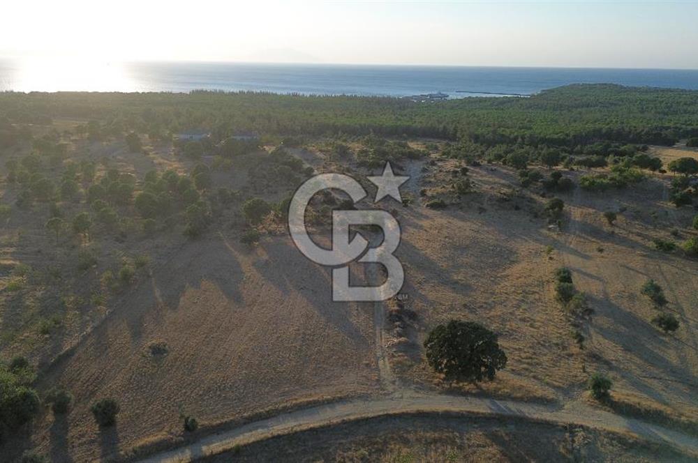 ECEABAT KABATEPEDE KADASTRAL YOLU OLAN 30 DÖNÜM TARLA