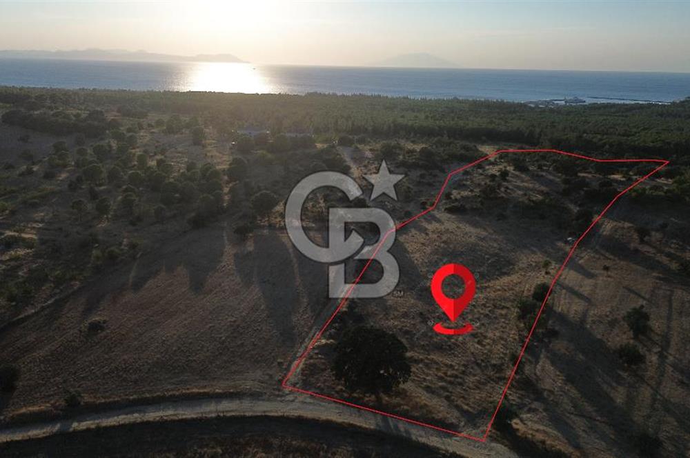 ECEABAT KABATEPEDE KADASTRAL YOLU OLAN 30 DÖNÜM TARLA