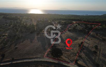 ECEABAT KABATEPEDE KADASTRAL YOLU OLAN 30 DÖNÜM TARLA