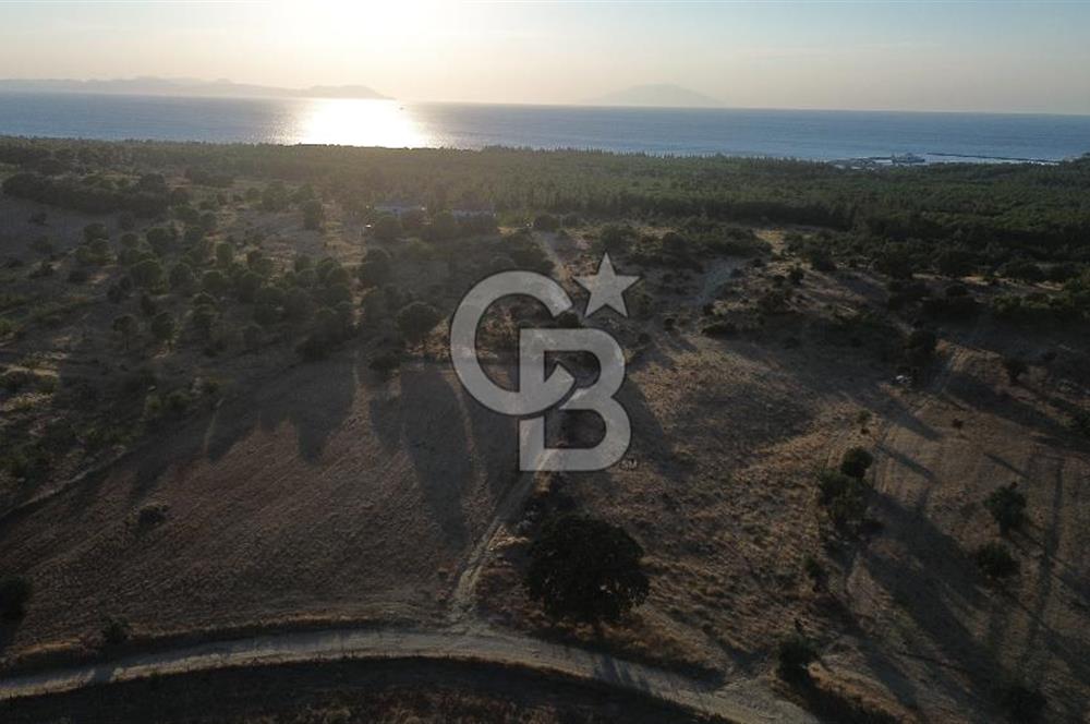 ECEABAT KABATEPEDE KADASTRAL YOLU OLAN 30 DÖNÜM TARLA