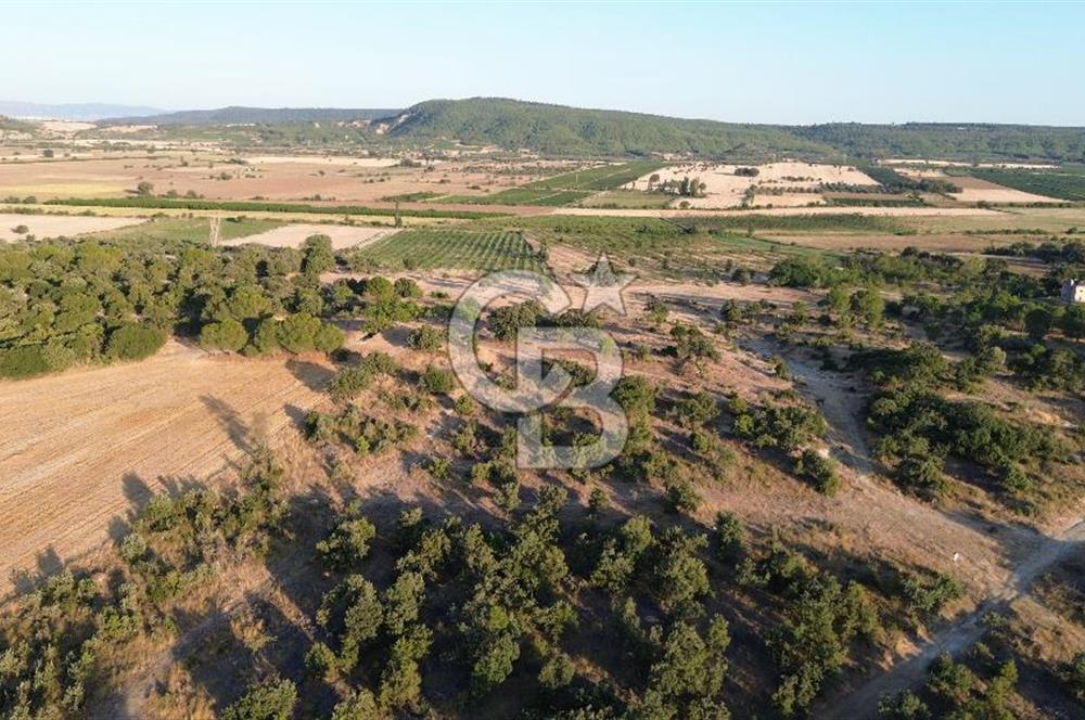 ECEABAT KABATEPEDE KADASTRAL YOLU OLAN 30 DÖNÜM TARLA