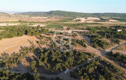 ECEABAT KABATEPEDE KADASTRAL YOLU OLAN 30 DÖNÜM TARLA