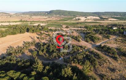 ECEABAT KABATEPEDE KADASTRAL YOLU OLAN 30 DÖNÜM TARLA