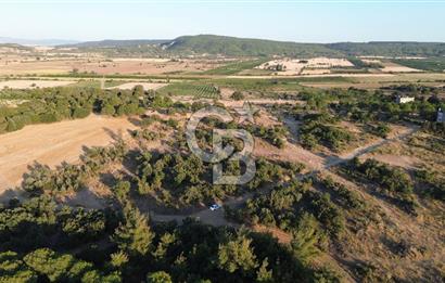 ECEABAT KABATEPEDE KADASTRAL YOLU OLAN 30 DÖNÜM TARLA